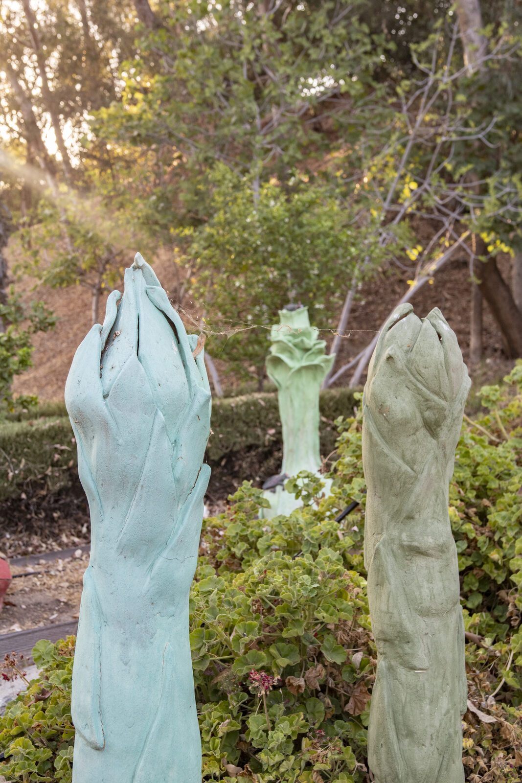 Three tall pale green ceramic asparagus spears standing together in a garden bed
