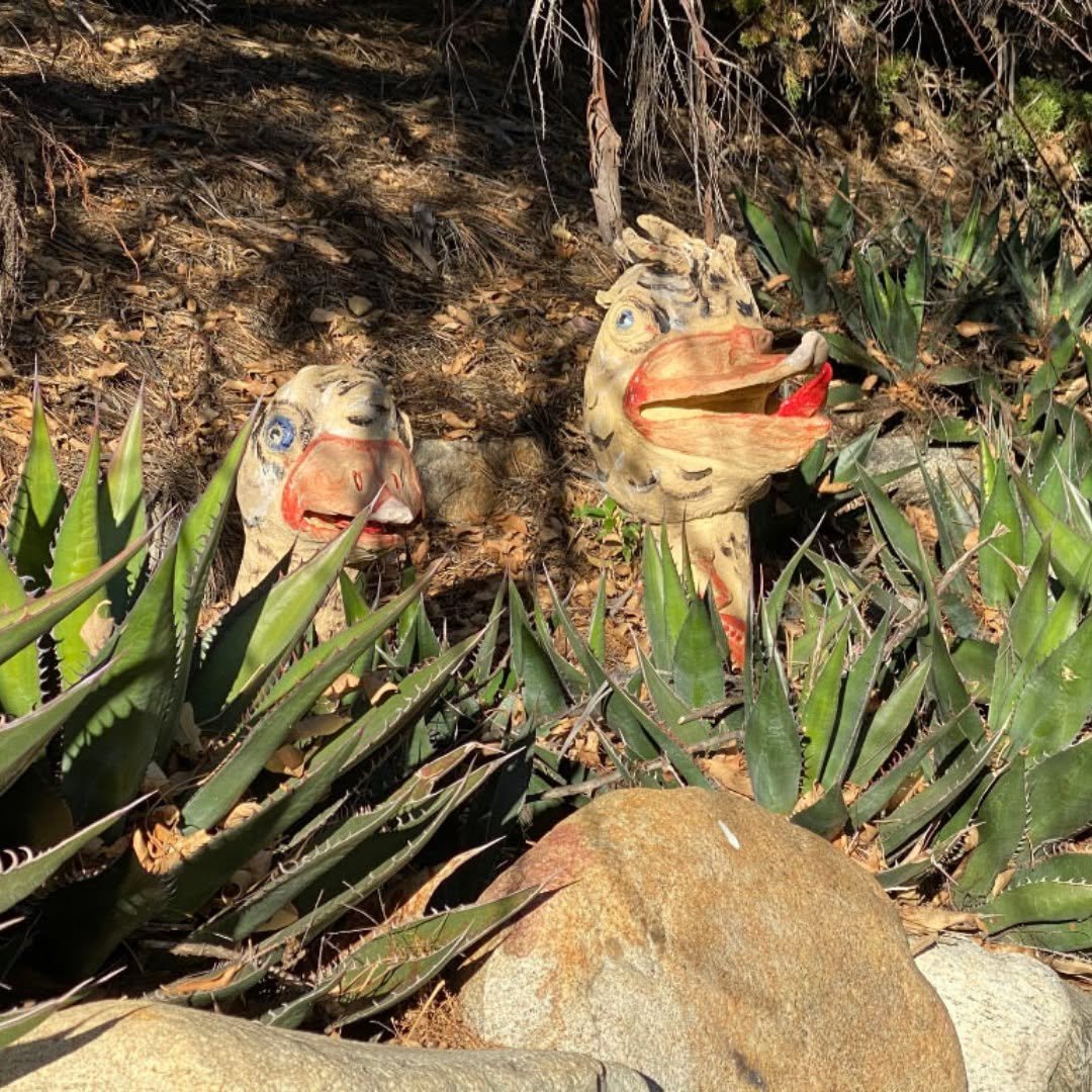 Two ceramic animal heads with wide eyes and open beaks peering out from a bed of agaves