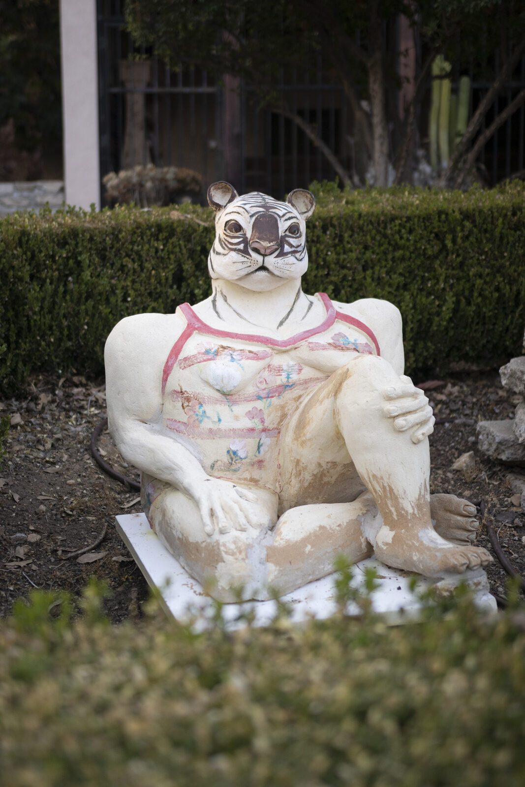Reclining ceramic tiger figure in a patterned camisole, seated against a clipped hedge